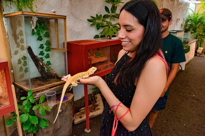 Private Tour on a Trajinera Around Xochimilco - Reviews