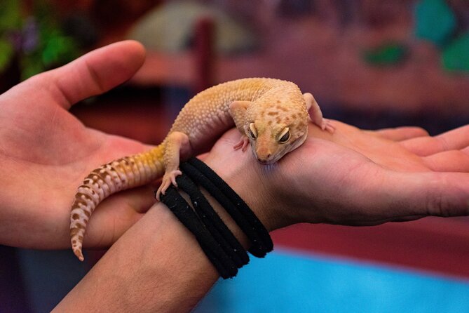 Private Tour on a Trajinera Around Xochimilco - Questions and Information