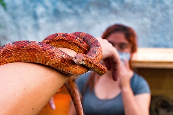 Private Tour on a Trajinera Around Xochimilco - Directions