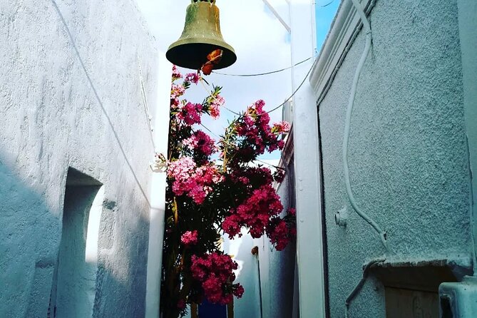 Private Tour on Antiparos - Contacting Viator Help Center