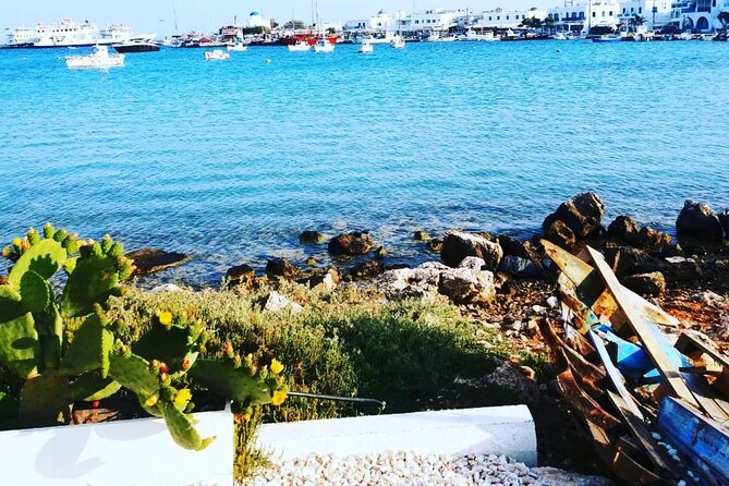 Private Tour on Antiparos - Directions to Book the Tour on Viators Website