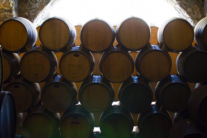 Private Tour one day in Los Guachimontones and Tequilera Cava de Oro - Authentic Experience and Value