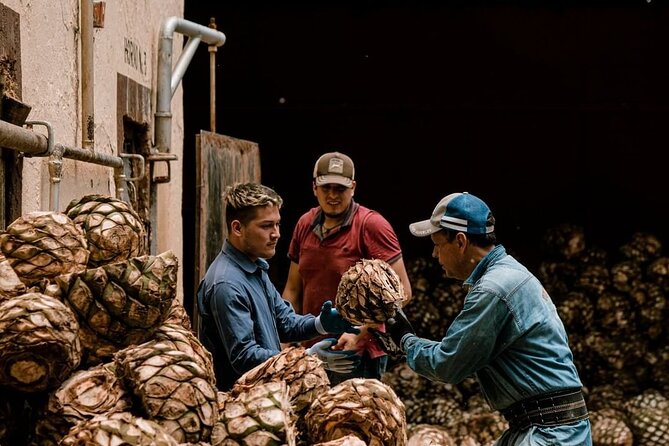 Private Tour One Day of Adventure in Tequila and Tequilera Cascahuin - Tasting the Finest Tequilas