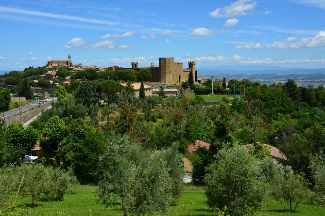 Private Tour: Orcia Valley to Montalcino and Montepulciano With Brunello Wine Tasting - Customer Reviews