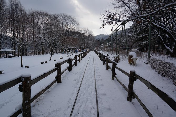 [Private Tour] Organic Strawberry Farm & Nami Island & Petite France - Customer Testimonial