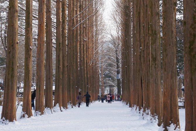 [Private Tour] Organic Strawberry Farm & Nami Island & Petite France - Additional Information