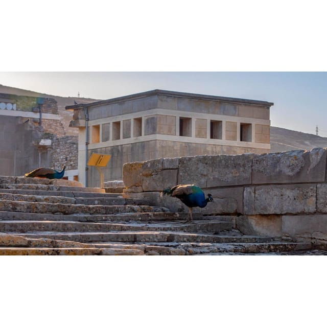Private Tour: Palace of Knossos - Good To Know