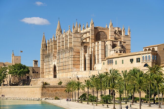 Private Tour: Palma De Mallorca Old Town, Palma Cathedral and Cruise - The Sum Up