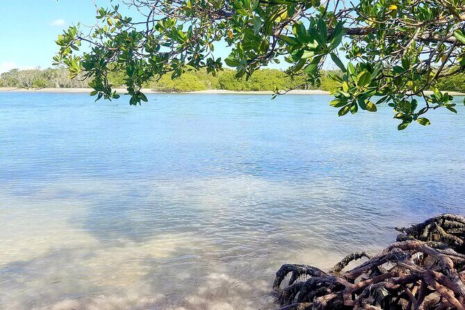 Private Tour Paradise Island & Manatee Sanctuary & Local Fish Bar - A Full Breakdown of the Tour: What to Expect