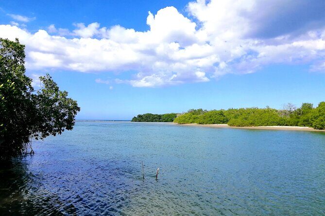 Private Tour Paradise Island & Manatee Sanctuary & Local Fish Bar - Who Would Love This Tour?