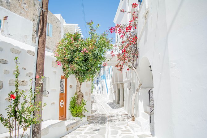 Private Tour: Paros & Antiparos Highlights 8 Hours - Tour Overview