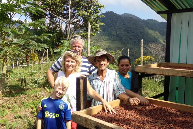 Private Tour: Peacebuilding in Antioquia - From Coca Fields to Cocoa! - Cacao Cultivation Experience