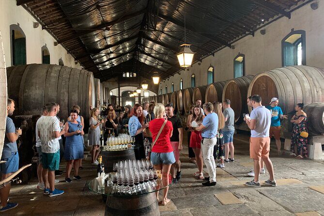 Private Tour, Pena Palace,Sintra,Cascais and Full Day Wine Tasting - Who Should Consider This Tour?