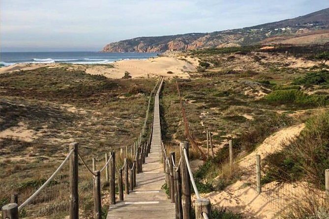 Private Tour, Pena Palace,Sintra,Cascais and Full Day Wine Tasting - The Sum Up