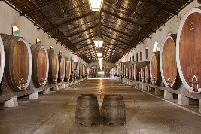 Private Tour, Pena Palace,Sintra,Cascais and Full Day Wine Tasting - FAQ — Your Practical Questions Answered