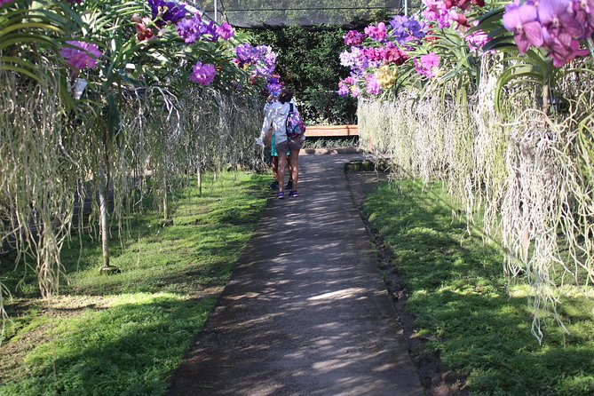 Private Tour] Perfect Day! Sticky Waterfall Chiangdao Cave Wat Bandentemple - Wrap-up and Final Thoughts