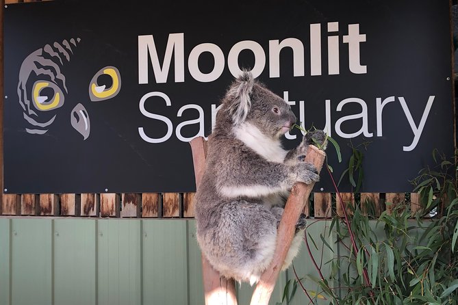 Private Tour: Phillip Island, Penguin Parade and Moonlit Sanctuary Conservation Park From Melbourne - Price and Additional Information