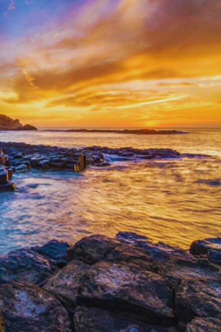 Private Tour : Phu Yen From Nha Trang - Experience and Amenities