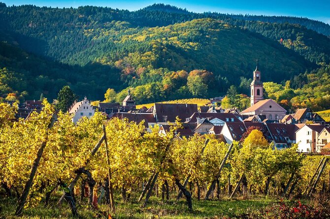 Private Tour: Picturesque Alsatian Villages & Wine Tasting With a Local Expert - Common Questions