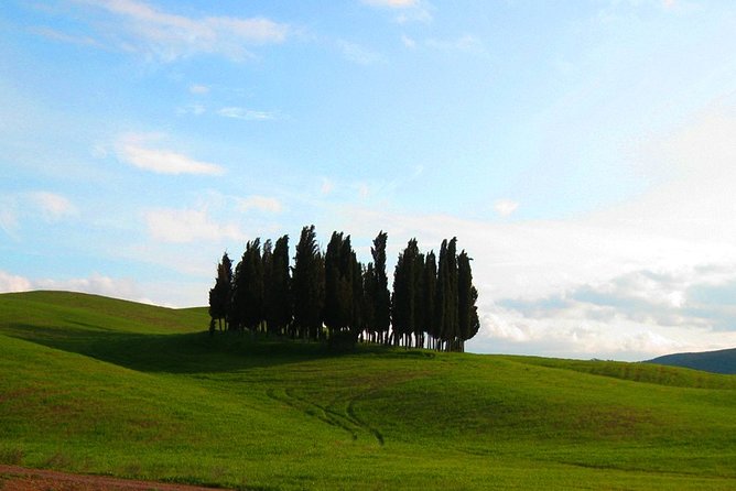 Private Tour: Pienza and Montalcino Organic Cheese and Wine Tour - Organic Dairy Farm Visit