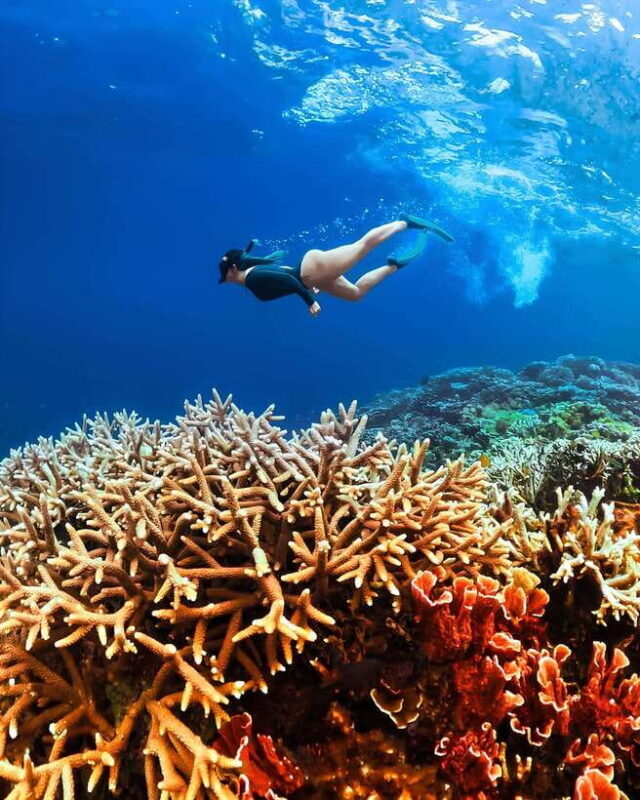 "Private Tour: Pink Beach Lombok Gili Islands & Sand Island" - The Practicalities: What To Expect