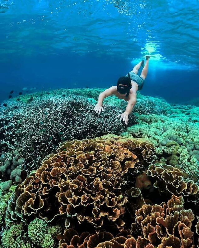 "Private Tour: Pink Beach Lombok Gili Islands & Sand Island" - Practical Tips for the Tour