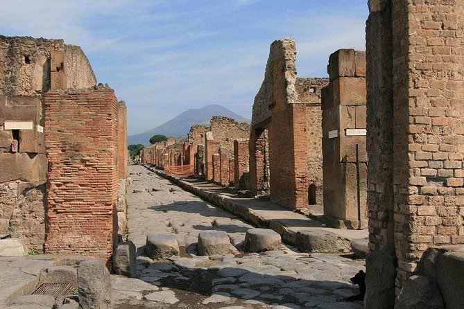Private Tour: Pompeii and Positano Day Trip From Rome - The Sum Up