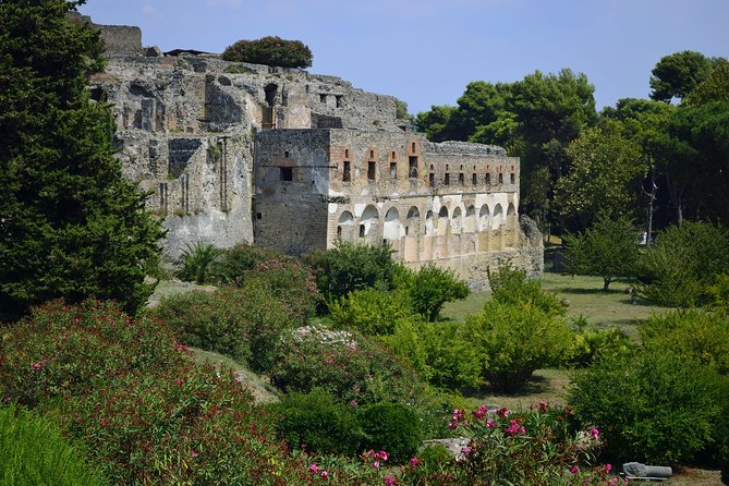 Private Tour: Pompeii Half-Day Trip From Naples - The Sum Up