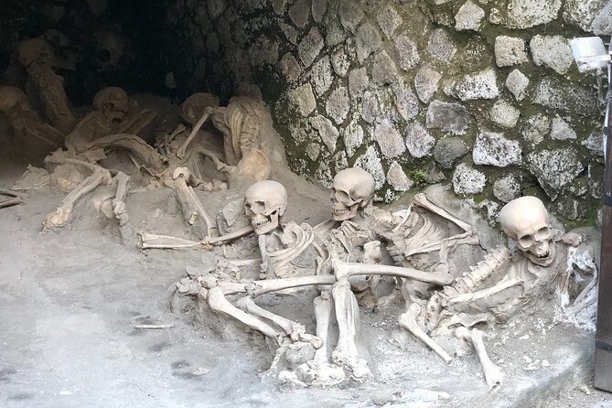 Private Tour: Pompeii Plus Herculaneum With Family Tour Option - Frequently Asked Questions