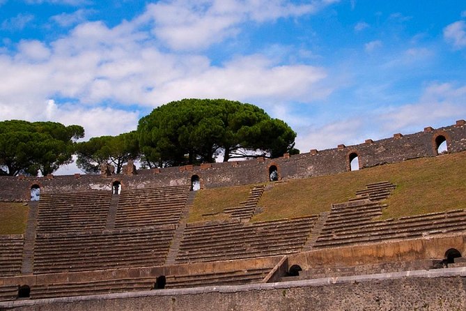 Private Tour: Pompeii Ruins From Rome in a Day - Tour Highlights