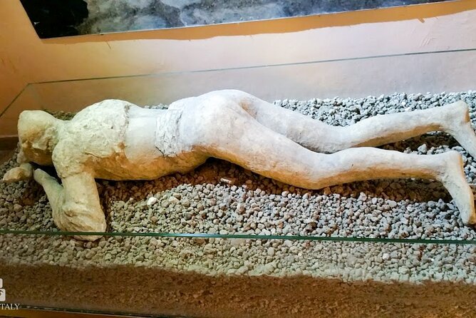 Private Tour: Pompeii Tour With Family Tour Option - Positive Reviews