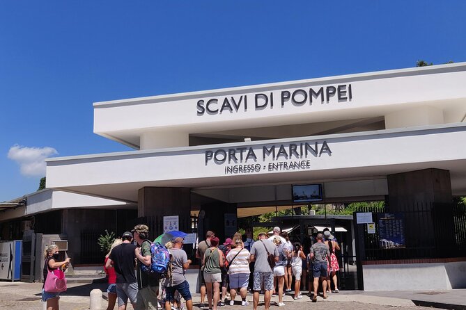 Private Tour Pompeii, Vesuvius and Herculaneum - Reviews and Testimonials