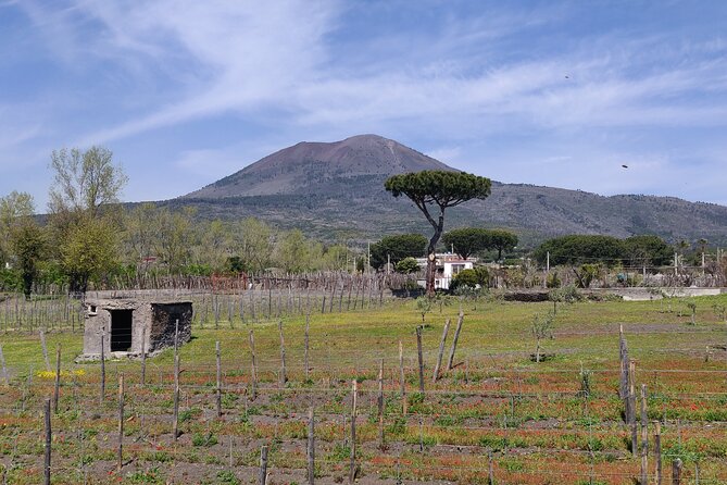 Private Tour Pompeii, Vesuvius and Herculaneum - Tips for a Memorable Private Tour Experience
