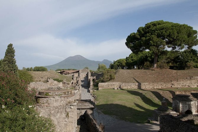 Private Tour Pompeii Vesuvius and Winery From Sorrento - Private Driver and Transportation