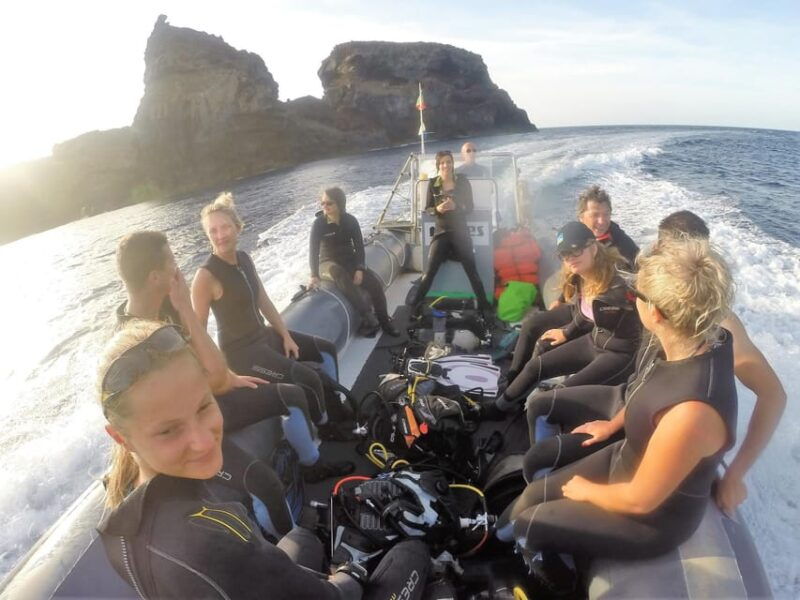 Private tour | Ponta de São Lourenço (Scuba & Snorkeling) - Language & Accessibility