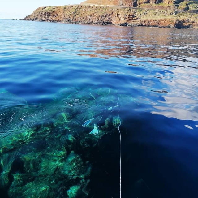 Private tour | Ponta de São Lourenço (Scuba & Snorkeling) - Cancellation & Flexibility