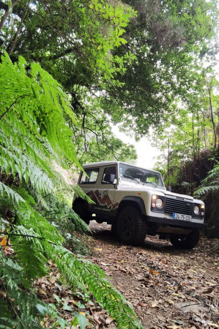 Private Tour - Porto Moniz 4x4 Experience - Pickup Location