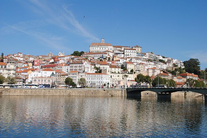 Private Tour: Porto to Lisbon: Visit Aveiro,Coimbra,Fatima,Obidos - Accessibility and Amenities