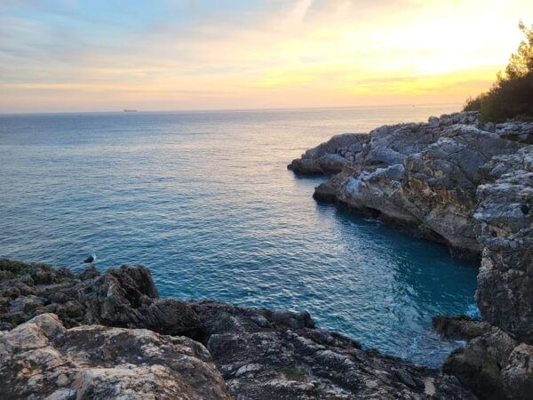 Private Tour Portugal - Group Size and Suitability