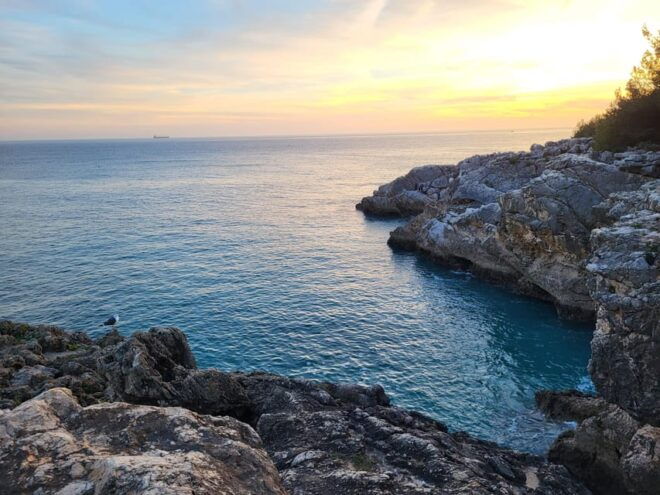 Private Tour Portugal - Transportation and Logistics
