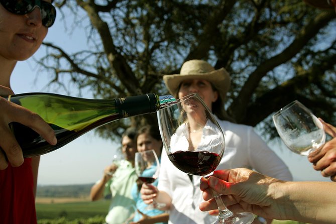PRIVATE TOUR: Pre or Post Cruise San Antonio Port With Santiago TOUR and Winery - Highlights