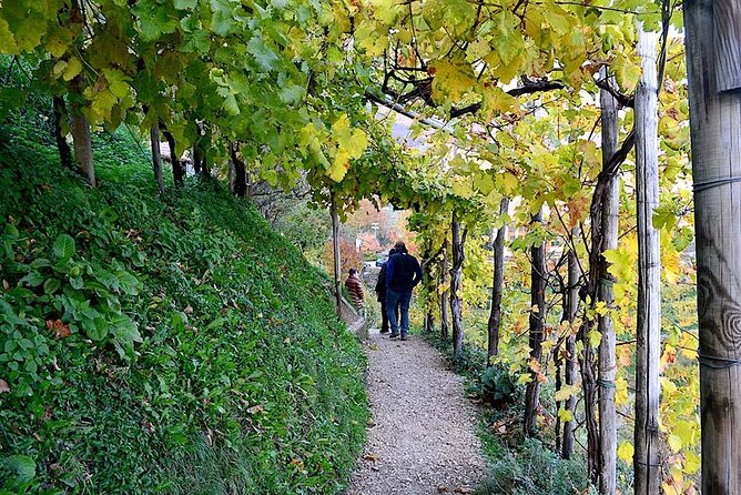 Private Tour: Prosecco Wine Tasting Day Trip With Lunch From Venice - Cancellation Policy