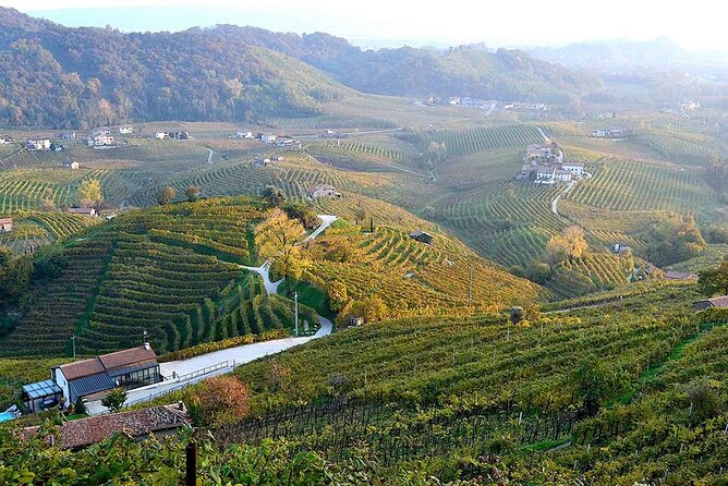 Private Tour: Prosecco Wine Tasting Day Trip With Lunch From Venice - Vineyard Visits