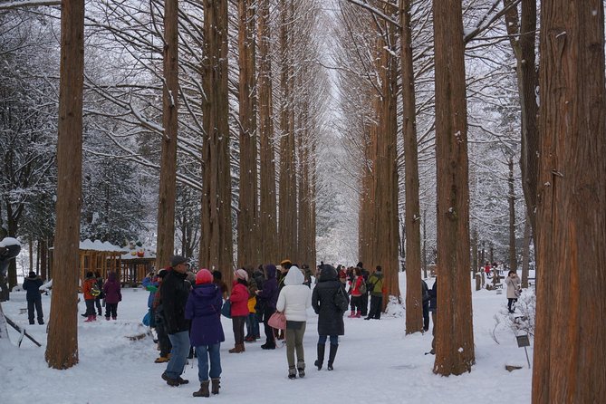 Private Tour Rail Bike & Nami Island & (Petite France or Garden of Morning Calm) - Traveler Photos