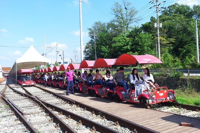 Private Tour Rail Bike & Nami Island & (Petite France or Garden of Morning Calm) - How to Make the Most of Your Private Tour