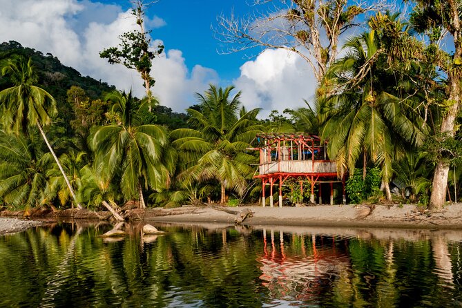 Private Tour Rainforest From Tobago - Booking Process and Information