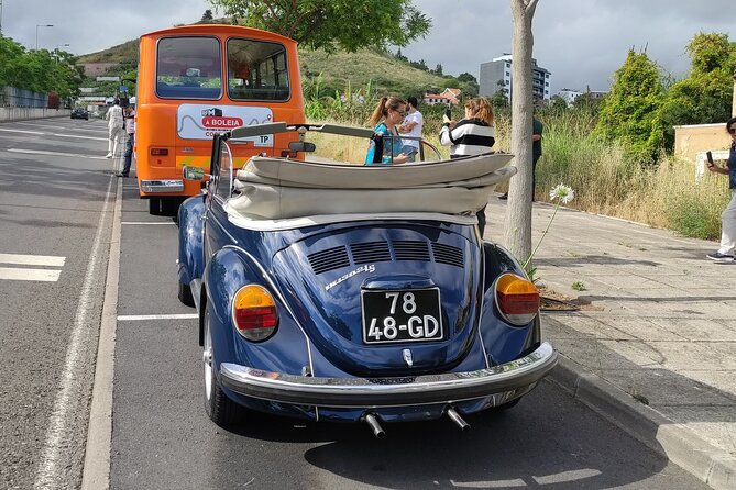 Private Tour: Regional Road Drive With Stunning Views and Poncha Drink Tasting - Opportunities for Stretching and Capturing Stunning Photos