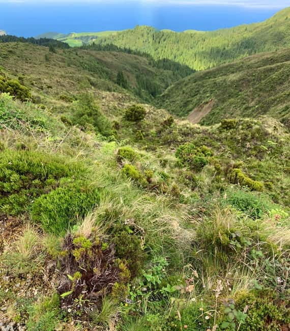 Private Tour Ribeira Grande: Salto do Cabrito Hike - Good To Know