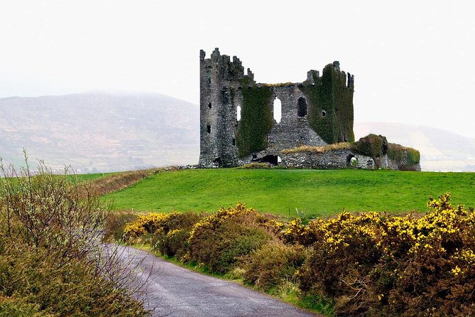 Private Tour. Ring of Kerry From Cork - Tour Pricing and Booking