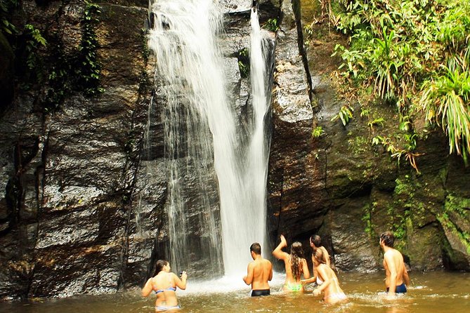 Private Tour: Rio De Janeiro Eco Tour at Tijuca National Park - Pricing and Availability